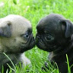 Meet your Posher, Ethan